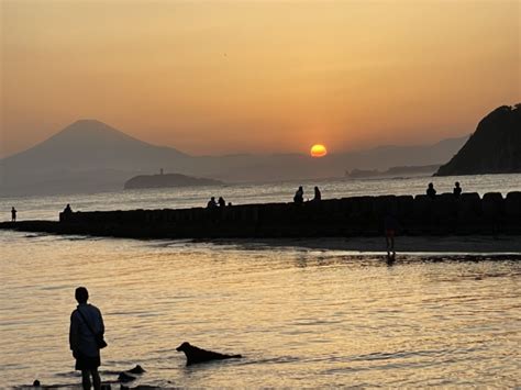 逗子市デートスポット完全ガイド：海と富士山を望む絶景コース